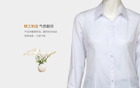 汕尾白色小斜條棉質(zhì)女士長(zhǎng)袖襯衫