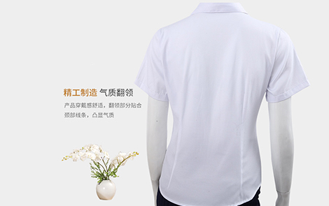 汕尾白色小斜條棉質(zhì)女士長(zhǎng)袖襯衫