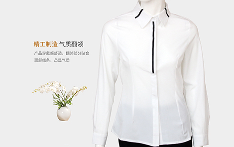 汕尾領(lǐng)面門襟黑條雪紡女士長(zhǎng)袖襯衫